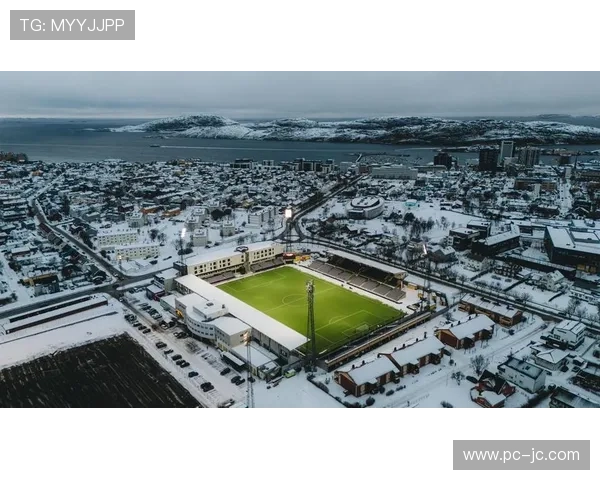 北极圈球场运营挑战：博德闪耀人工草皮保养成本揭秘